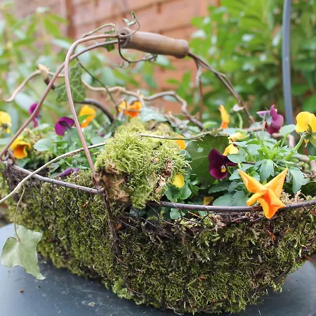 Serene In With Garden Seating * Roggow